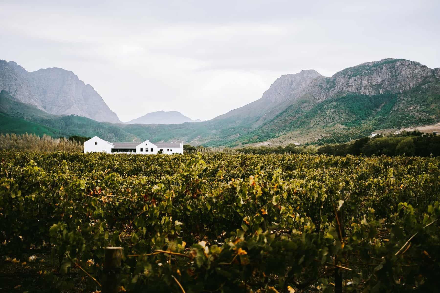 Franschhoek wine region