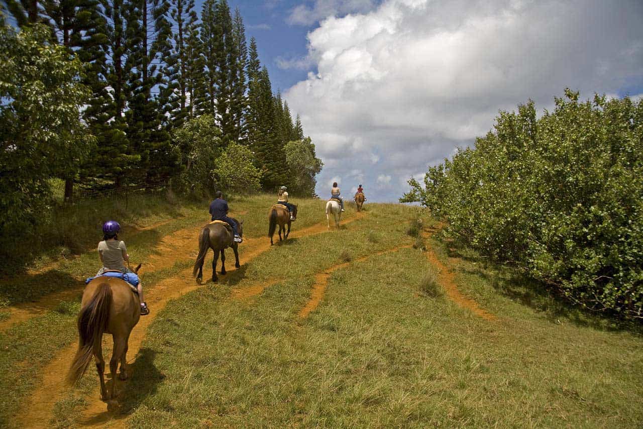 Western Canada - Horseback riders