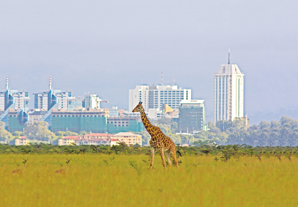 Kenya has reopened borders for Indian travellers