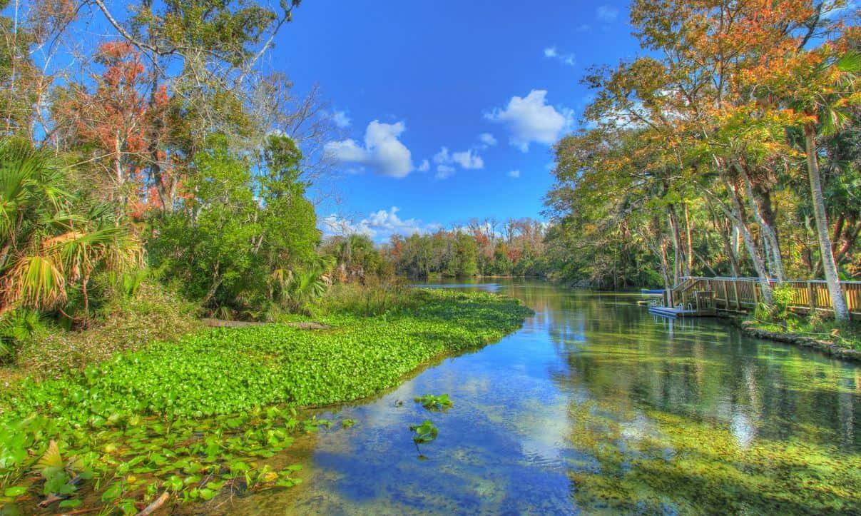 Top 7 State Parks Florida