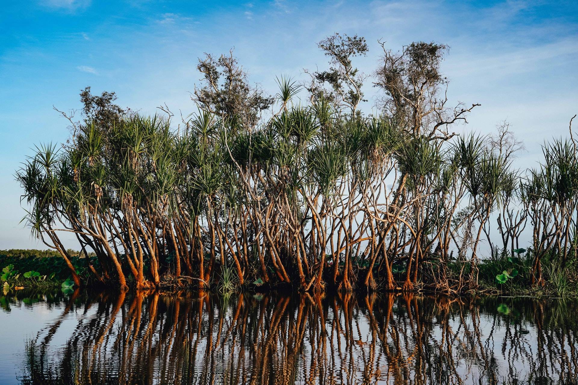 Kakadu National Park - day trips from Darwin, Australia