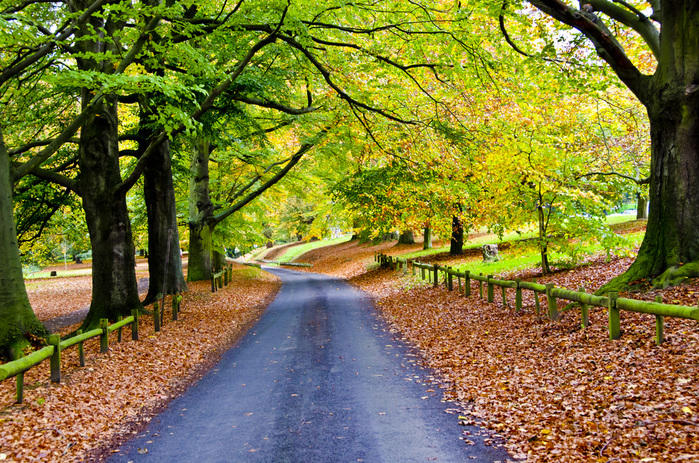 Mote Park, Ireland