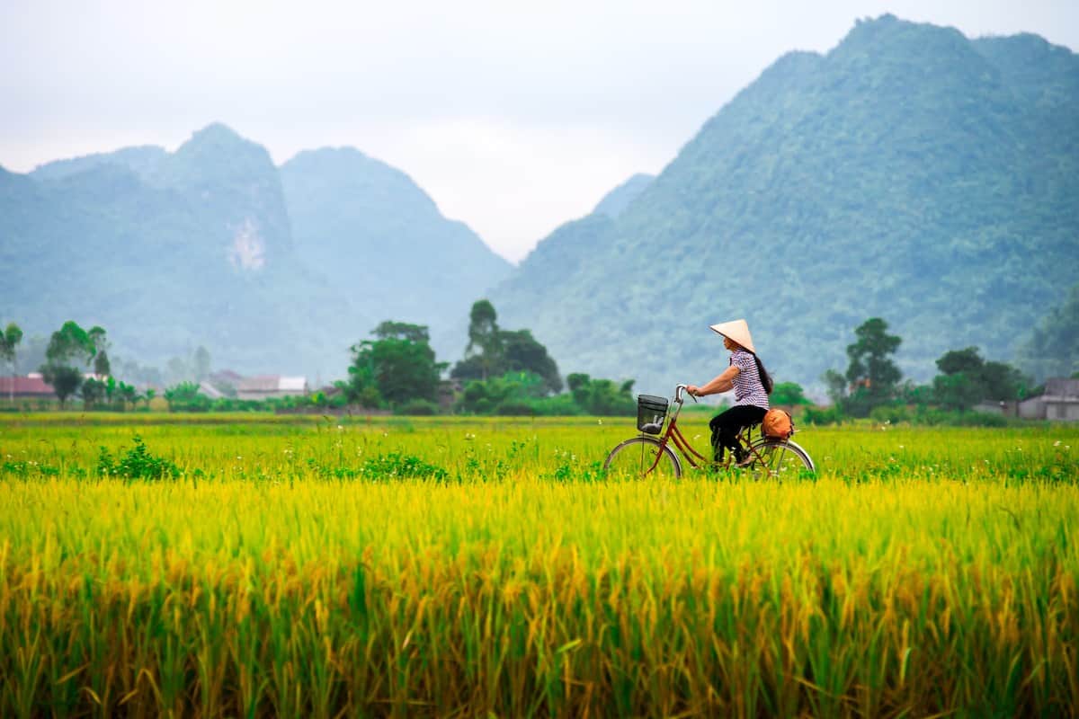 ​​CDC Warns Americans To Not To Travel To Vietnam Despite Removal Of Restrictions