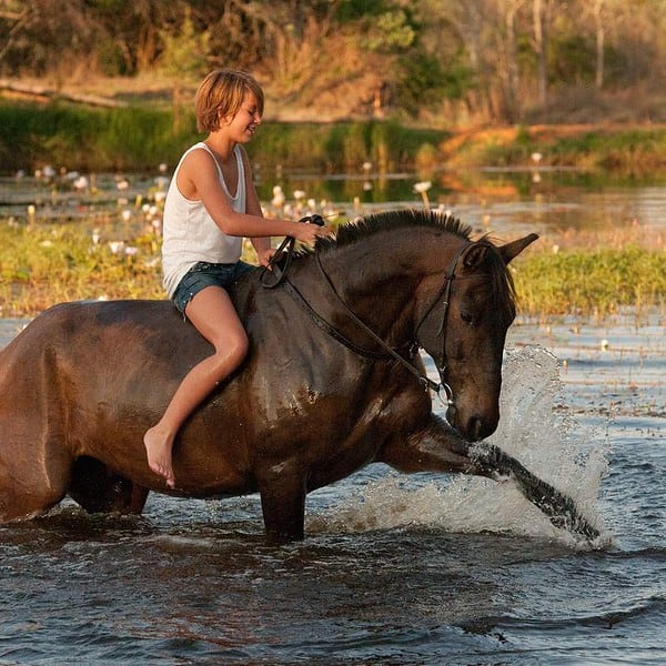 Swimming with horses