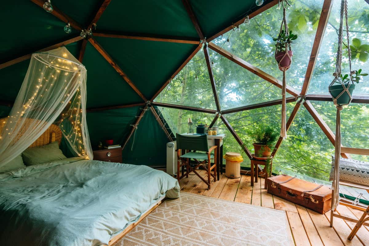 A New Unique Treehouse Resort Is Coming to the U.S.