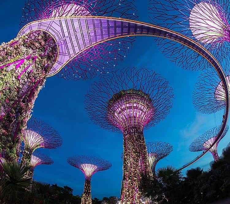 Singapore Christmas Wonderland Is Back