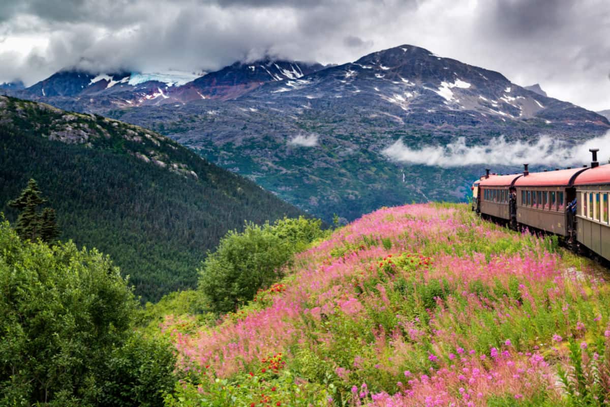 8 Stunning U.S. Train Trips To Take This Spring 