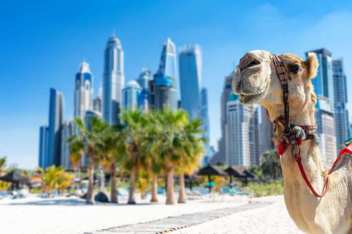 Dubai: 7 Things Travelers Need To Know Before Visiting