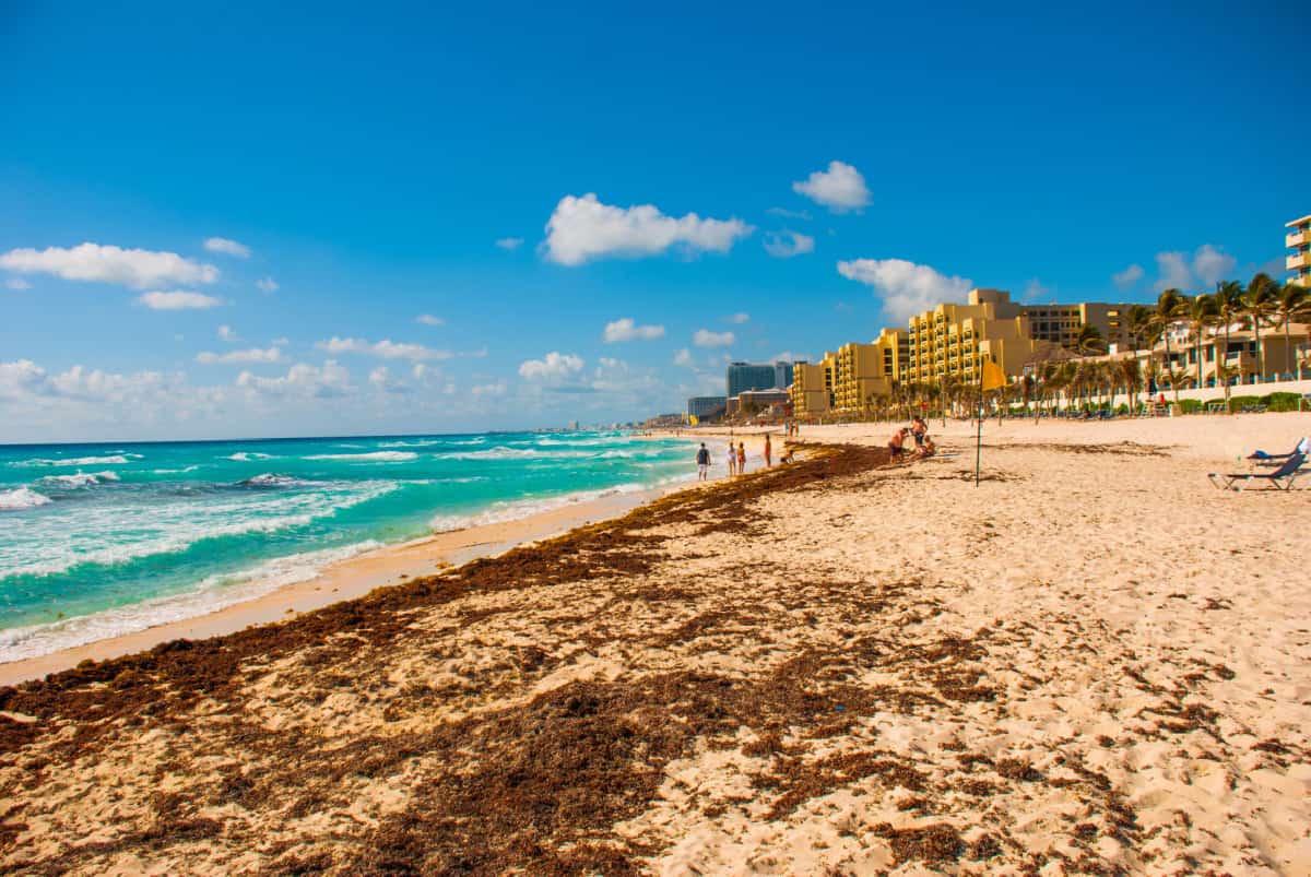 These Are 5 Of The Top Beaches Around Cancun With Lower Levels Of Seaweed