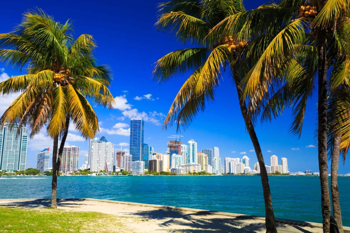 6 Reasons Miami Is Exploding In Popularity With Tourists Right Now