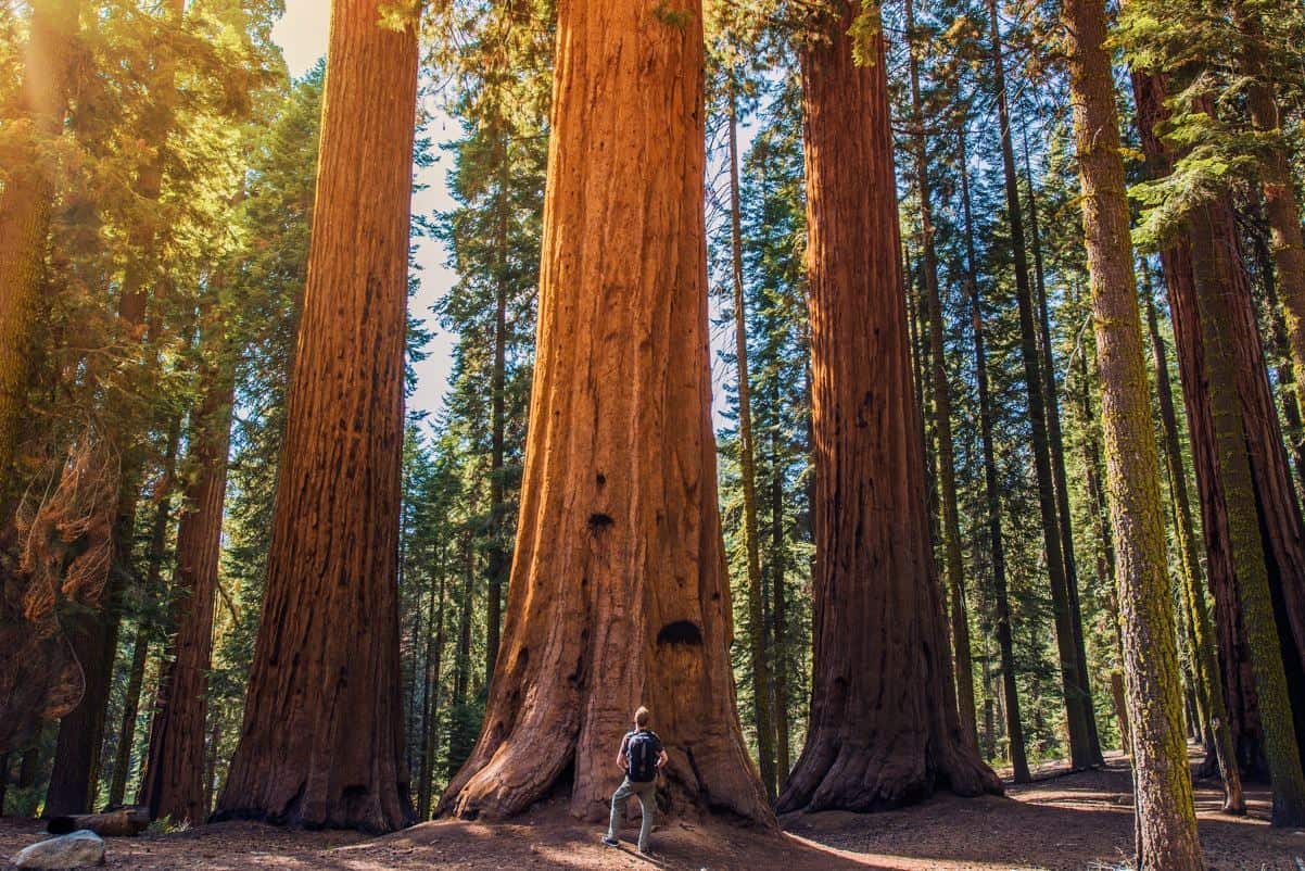 These Are The Top 8 U.S. National Parks To Visit This Summer According To New Report