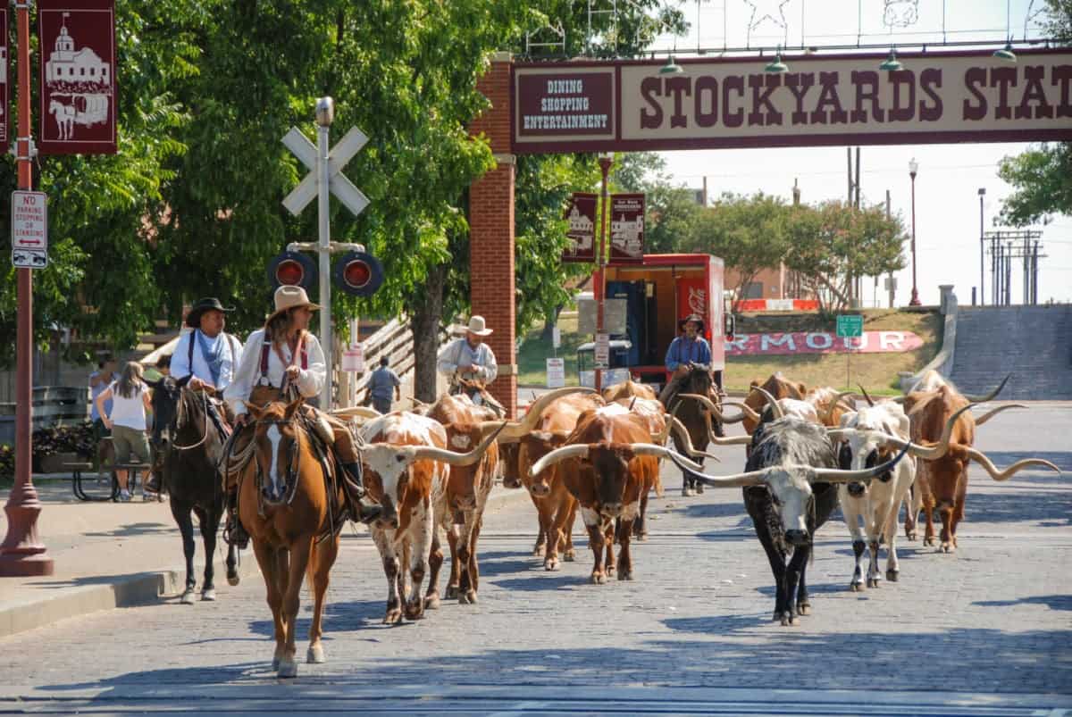 Why This Texas City Is Breaking All-Time Visitor Records