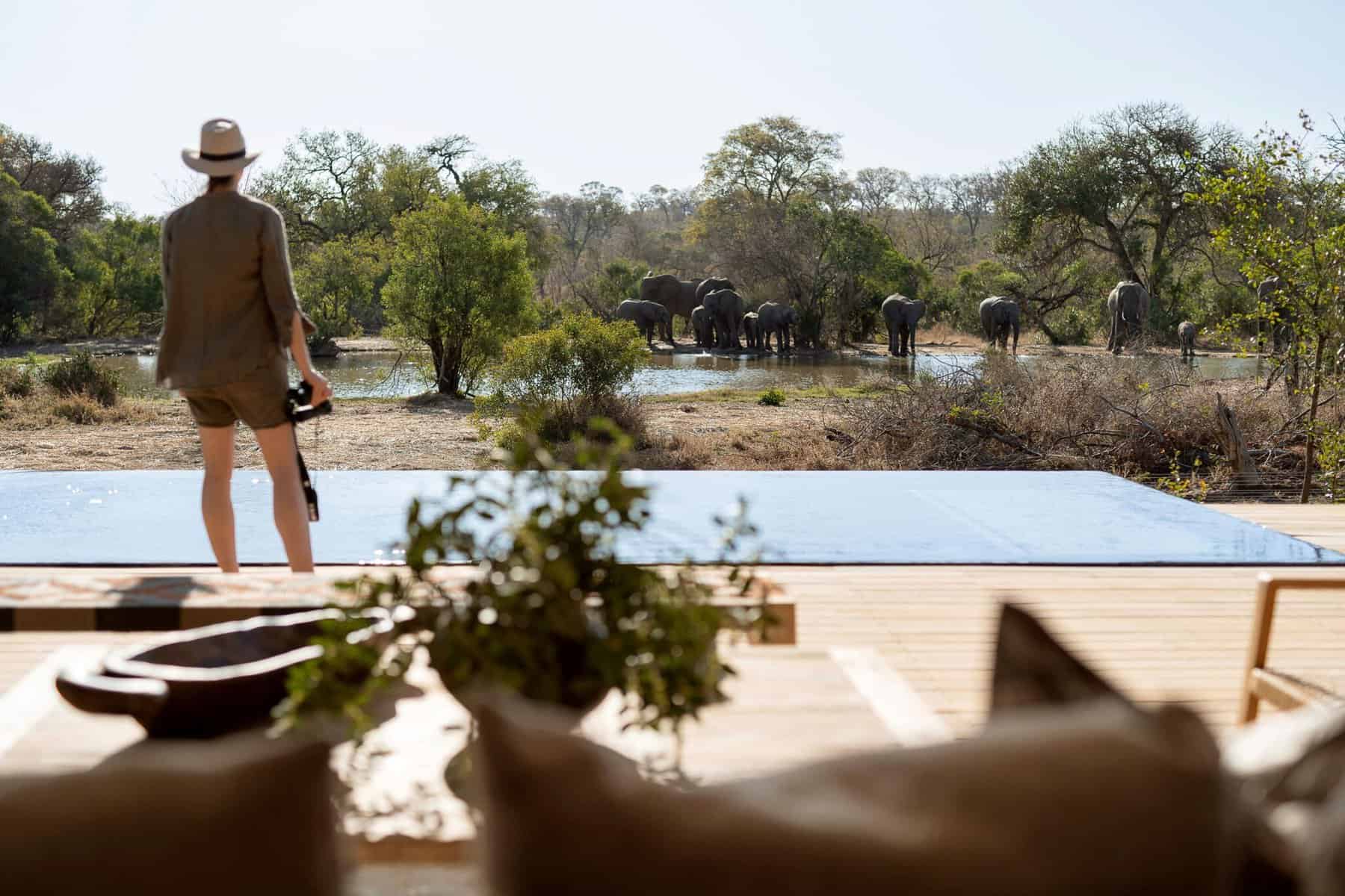 MORE Family Collection extends footprint into Thornybush Nature Reserve