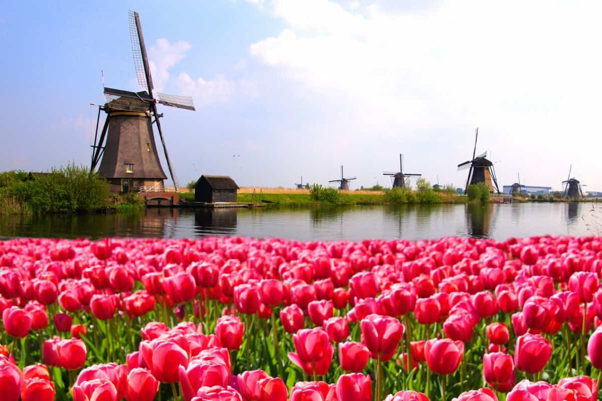 5 Small Towns To Visit In The Netherlands To Avoid The Summer Crowds