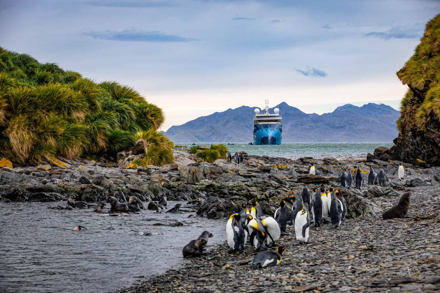 Embark on the ultimate Arctic and Antarctic cruises with Albatros Expeditions