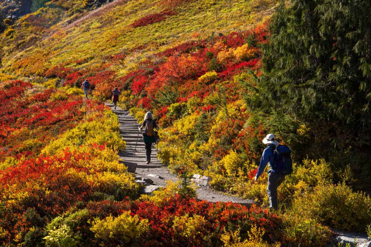 These 3 Stunning National Parks Are Best To Visit In The Fall