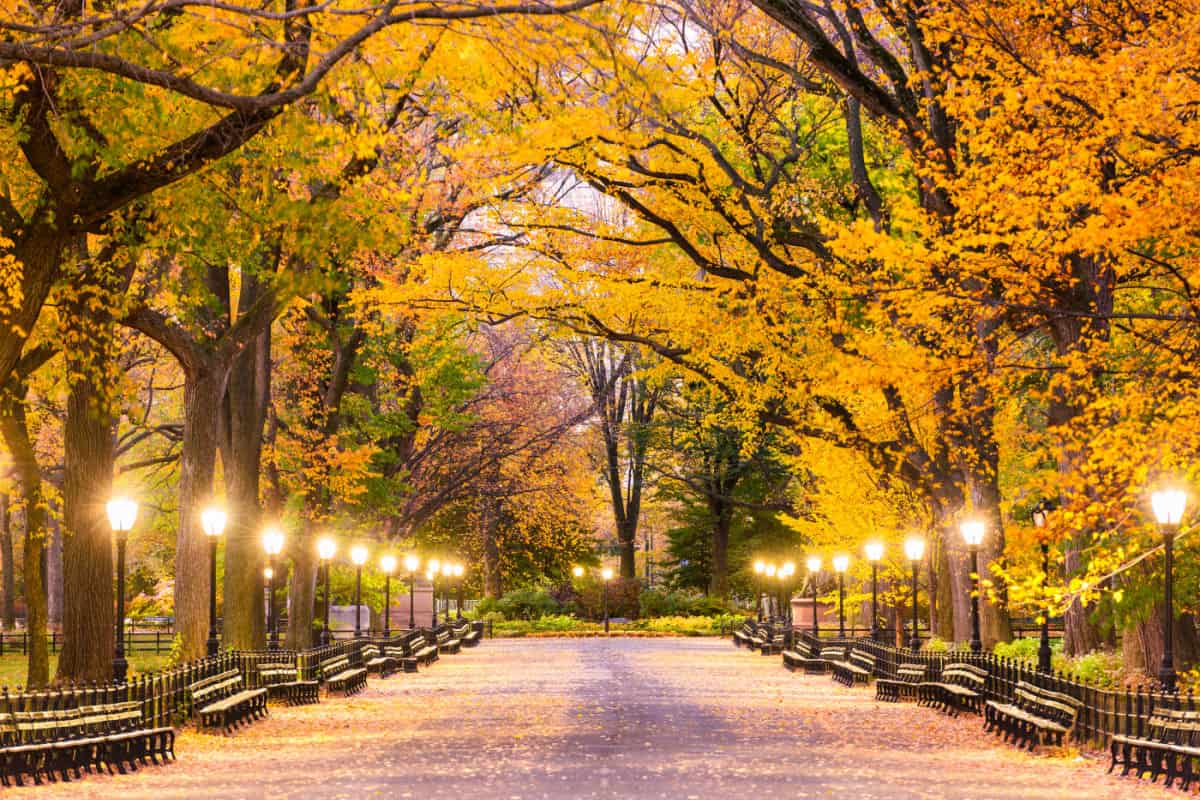 These Are The Top 5 U.S. Cities To Visit This Fall